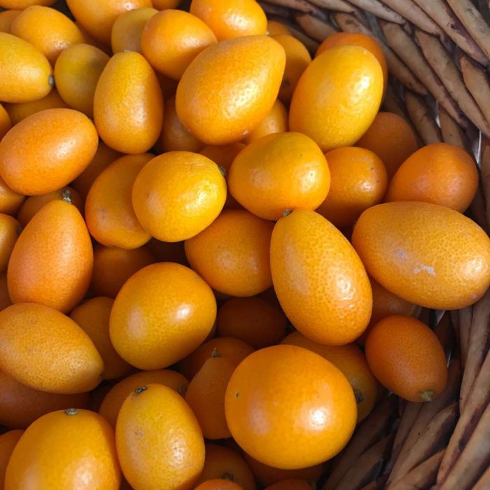 kumquat, kumkuat, kamkat, meyve, turuncu, turunçgil