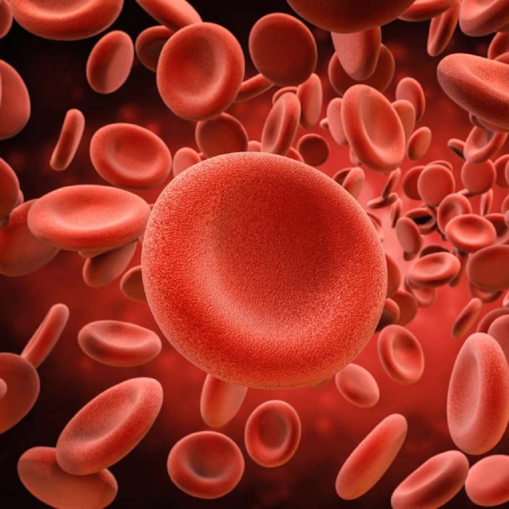 eritrosit, kırmızı kan hücresi, red blood cells
