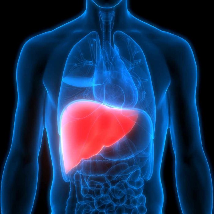 karaciğer yağlanması, hepatosteatoz