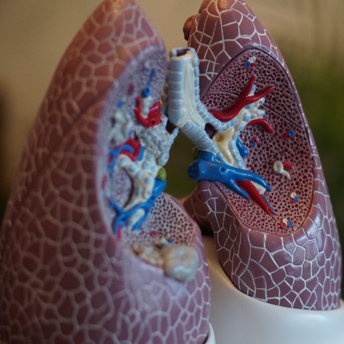 akciğer, ciğerler, ak ciğer, sigara, duman, kovid19, koronavirüs