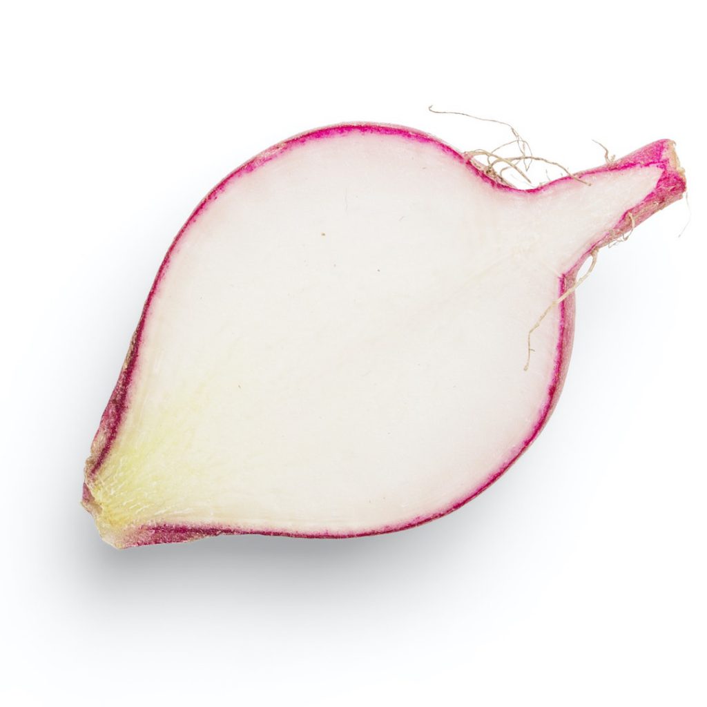 turp, sebze, beyaz, mor, antioksidan, fitokimyasal, vegan, vejetaryen