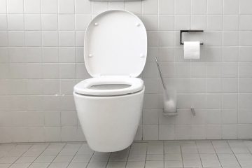 tuvalet, banyo, kabızlık, peklik, konstipasyon, kusma, vomiting, boşaltım, wc, kaka,