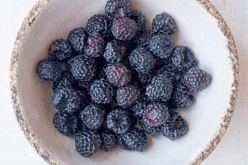 böğürtlen, blackberry, black berry, kara beri, siyah beri, beriler, kırmızı meyveler