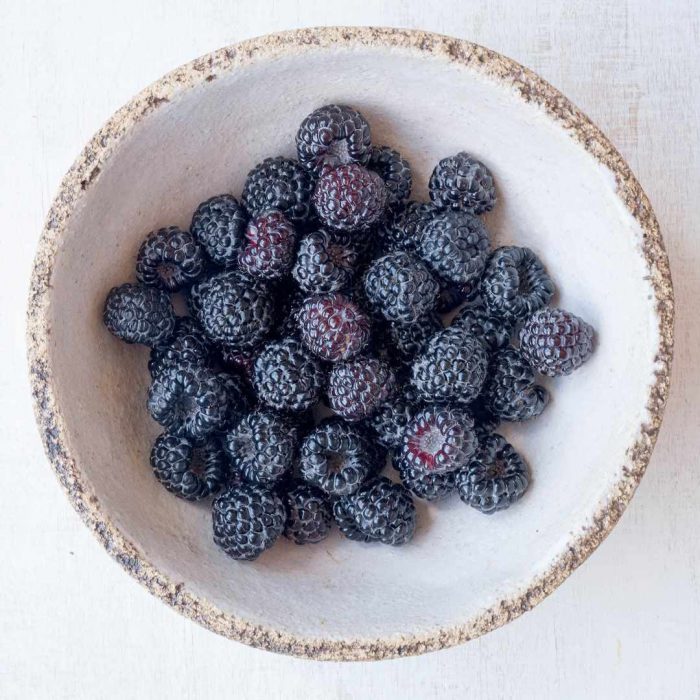 böğürtlen, blackberry, black berry, kara beri, siyah beri, beriler, kırmızı meyveler