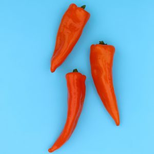 paprika, paprica, kırmızı biber (2)
