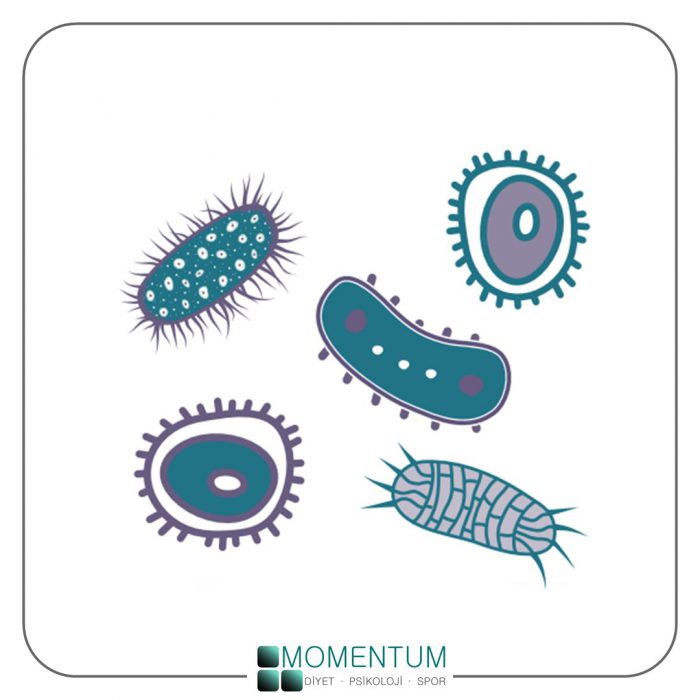 Postbiyotikler, post biyotik mikroorganizmalar