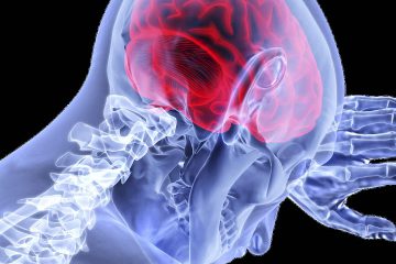 beyin, omurilik, nöral tüp