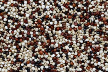 kinoa, astronom gıdası, tahıla benzeyen glutensiz tohum (2)