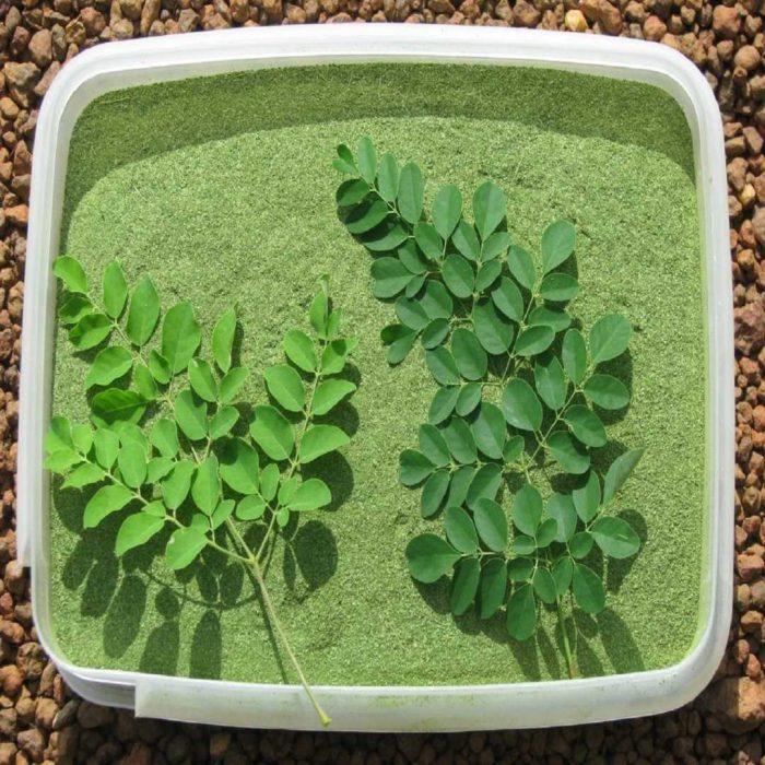 moringa, moringa çayı, yeşil yaprak, bitki çayı