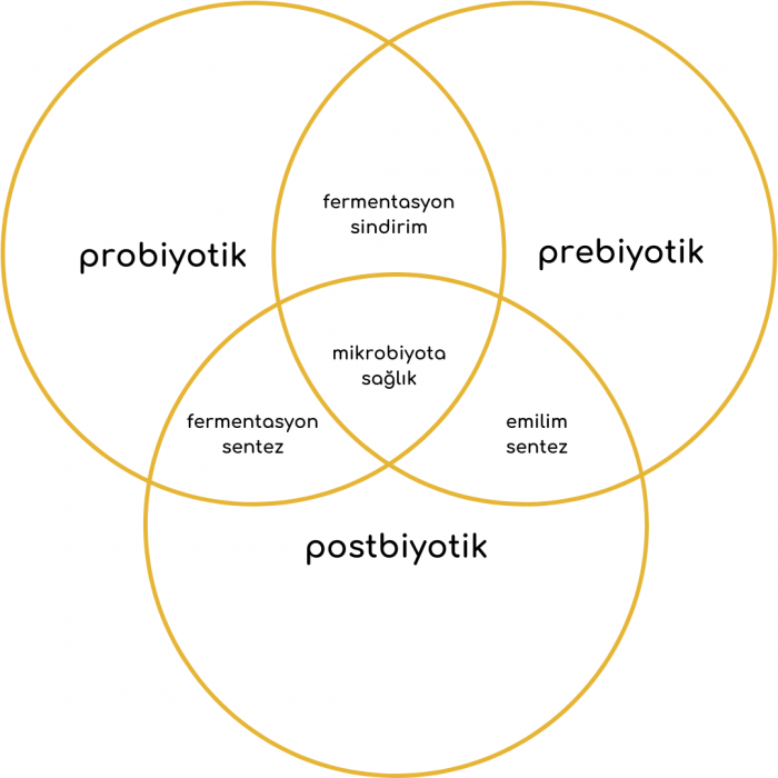 probiyotik, prebiyotik ve postbiyotik ilişkisi