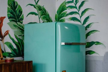 mutfak, buzdolabı, refrigerator, yeşil, motif, sandalye
