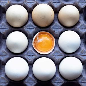 beyaz yumurta, yumurta sarısı, viyol yumurta, yumurta kartonu