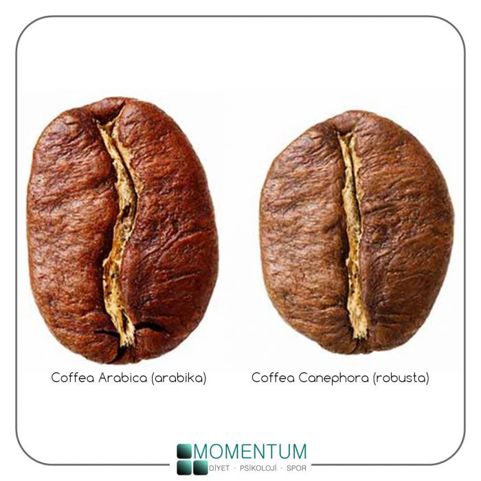 kahve çekirdeklerinin farkları, Coffea Arabica (arabika), robusta