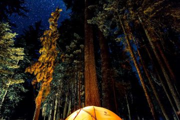 kamp, camping, çadır, doğa, tatil