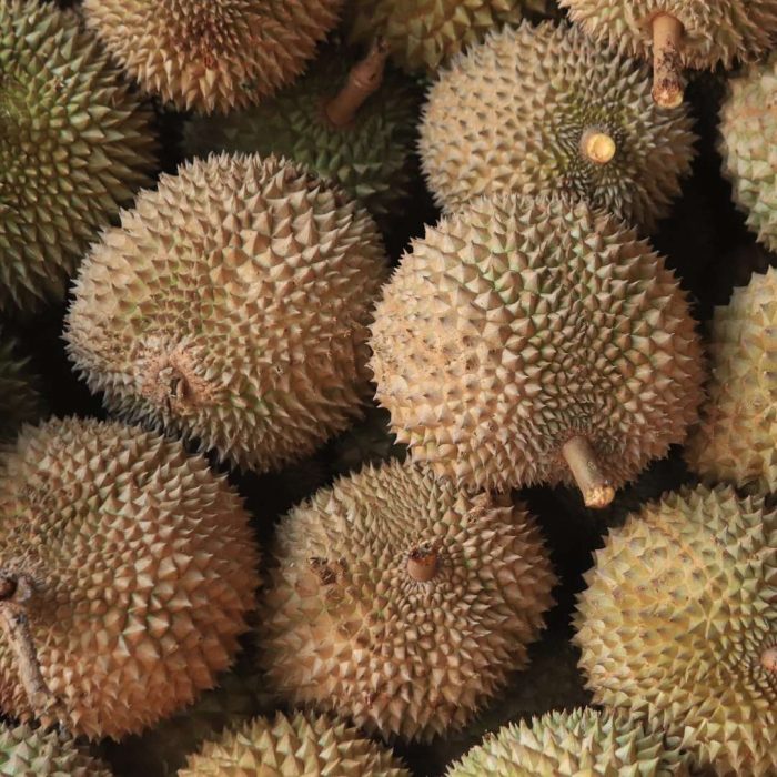 durian meyvesi, tropik meyveler, değişik meyva isimleri