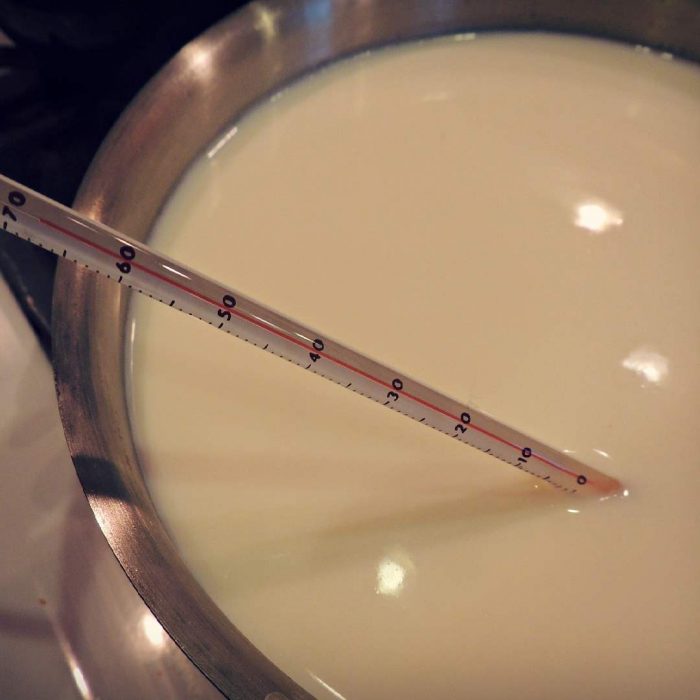 süt, yoğurt mayalama, fermentasyon