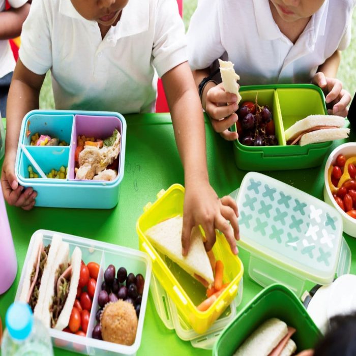 okul, beslenme, çocuk, beslenme çantası, meyve, sandviç
