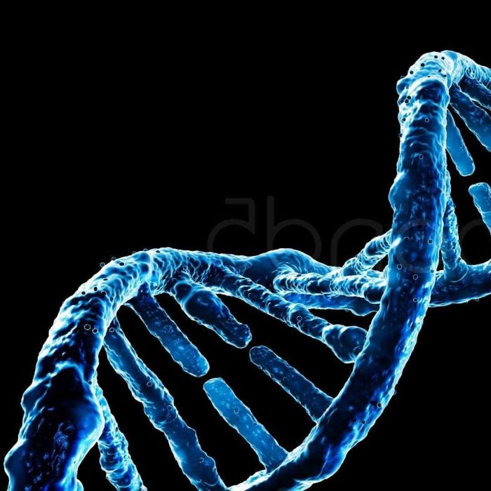 DNA, genetik, kalıtım, kromozomlar