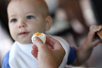 bebek beslenmesinde haşlanmış yumurta