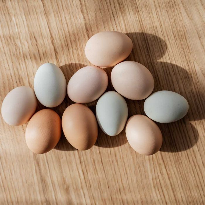 yumurtalar, tavuk yumurtası