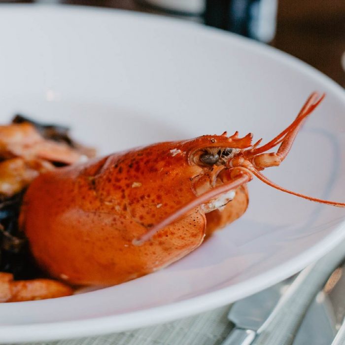 lobster, ıstakoz, deniz ürünleri