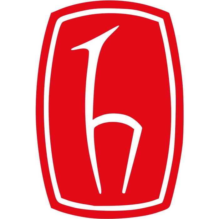 Hacettepe Üniversitesi logo