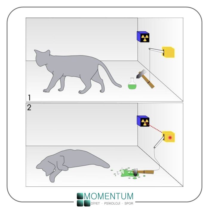 Erwin Schrödinger'in kedisi deneyi