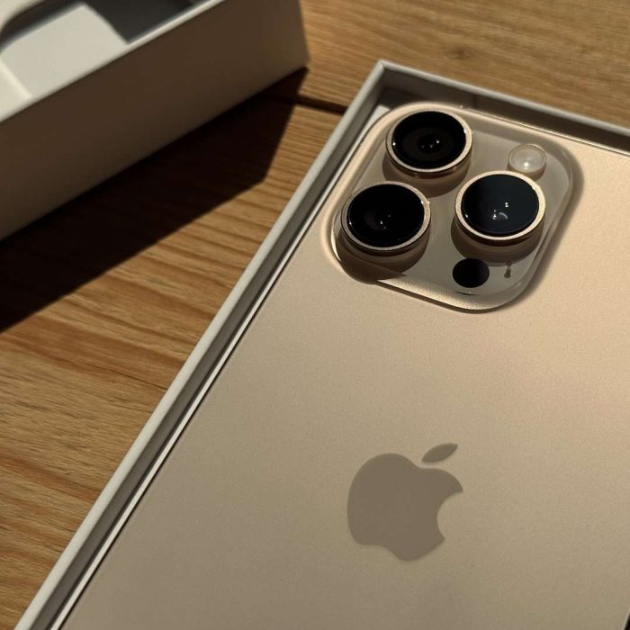 iPhone 16 Pro Max