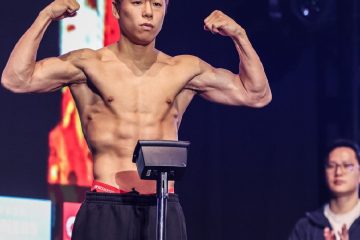 MMA, Dövüş sporu, karma dövüş